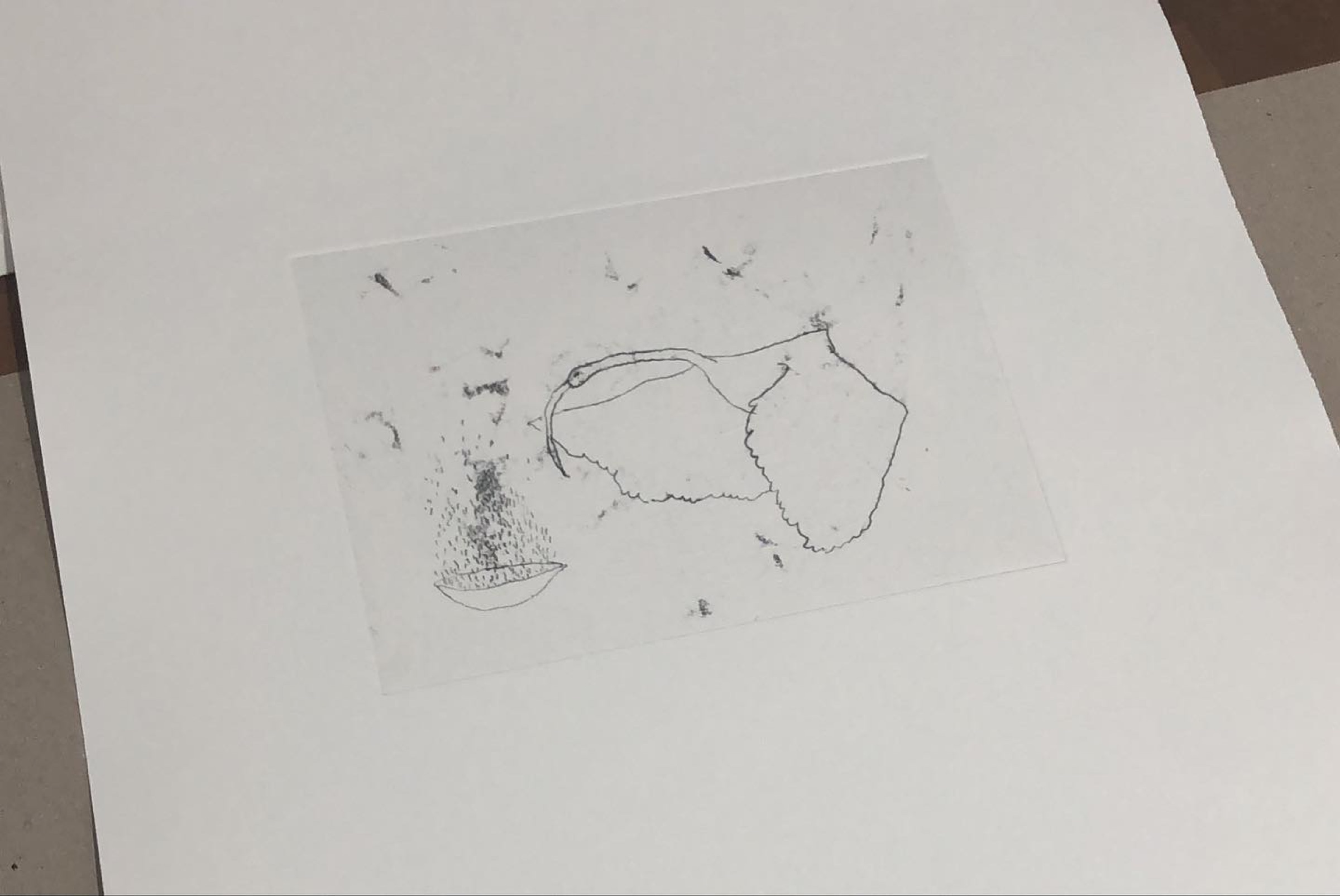 Obra de Paula Cid Cerezo